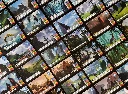 vantage-cartes.webp