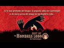youtube - [Video]