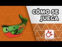 youtube - [Video]
