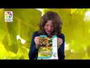 youtube - [Video]