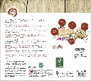 Bingo-Deluxe-darrera.webp