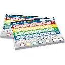 recanvi-qwixx-xl-fulls-quadrada.webp