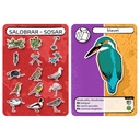 CEN-BIOBLITZ-1069