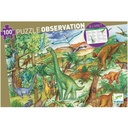 Puzle observació – Dinosaures